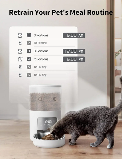 Hot Smart Automatic Cat Dog Pet Feeder 4L